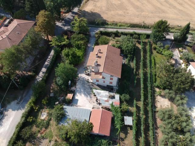 B&B La Mimosa Spello Eksteriør billede